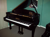 gerhard heintzman grand